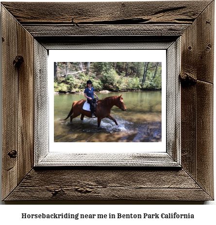 horseback riding near me in Benton Park, California